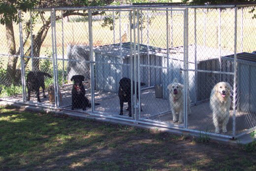 dog kennels - kitchen side